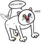 [드루와] 고양이 넘 귀엽지않냐 ㅠㅠㅠ