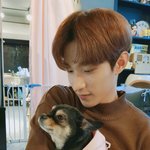 [세븐틴] 석민이 <b>이사진</b> ㄹㅇ 남친짤..