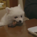 [댓글부탁해] <b>윤제</b> 너무 기여워ㅠㅠㅠㅠ