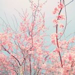 [댓글부탁해] 딸한테 <b>싸구려</b>라고 하는 부모님 제가 이상한건가요?...