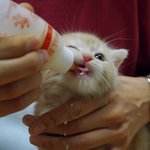 밥<b>먹자</b> 난쟁아