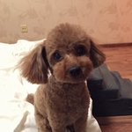 <b>타미</b>의 일상