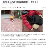 나는 이런마음씨를 가진 사람을 좋아합니다.
