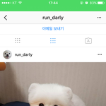 [드루와] 강아지 넘 <b>이브</b>지않냐 ㅠㅠㅠ