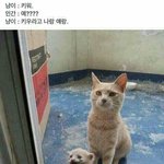 [드루와] 옛날 유행어 <b>회상</b>해보자
