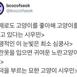 [시우민] 시우민 기사 왜이래?