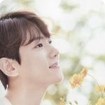 [백현] [<b>스캔</b>본] 네이처리퍼블릭 화보집 백현