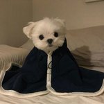 친구 죽여버리고 싶어요