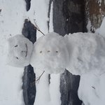 [사진ㅇ] 우리 오늘 <b>눈</b> ㅈㄴ많이<b>옴</b> ㅋㅋ