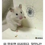 키 몸무게 글 적당히해라