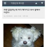[드루와] 쌍액쓰는애들아 아이<b>토크</b> 좋아