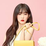 아이린 <b>헤지스</b> 전속모델 발탁