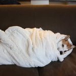 [댓글부탁해] 내 공부계획 봐주라ㅏㅈㅂㅈㅂ