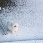 [댓글부탁해] 고딩들아 공부관련해서 후회하는게 뭐야?