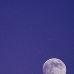 님들 1987 꼭 봐