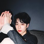 [댓글부탁해] 워너원 뷰티풀 티저 사진 어디에 뜬 거야?
