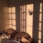 자기가 진짜 하고 싶은 일/직업 써보자