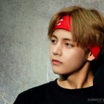 이거 뷔야 <b>버논</b>이야?