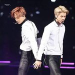 [EXO] 플보 구사즈<b>vs</b>메보즈