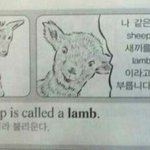 이거 나한테 관심있는거임??