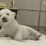보고싶어 <b>여보</b>야