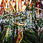 가정식<b>백반</b>으로 거진 혼밥중1