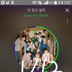 [강다니엘] 롯데리아 인별+포카정보