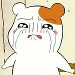 얘들아<b>쥐포</b>세조각먹어도살안찌지?ㅜㅜㅜㅜ