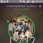 [강다니엘] ㅇㅈㅅ님 인별 (ㅌㅇㅇㅈㅇ)