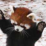 [댓글부탁해] <b>ebs</b> 인강 보는 사람 제발 들어와줘ㅠㅠ