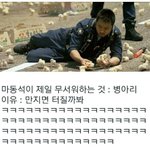 [댓글부탁해] 생리할때 했던 <b>충동</b>적인 일들 뭐있어?ㅋㅋ