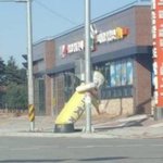 [EXO] 백현이 프<b>사래</b>