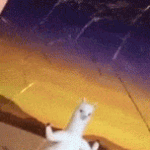 너희 인생에서 최고의 <b>일탈</b>은 뭐야?