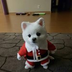[댓글부탁해] 이렇게 코디 이상??