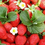 뿌뀨신상텀ㅋㅋ