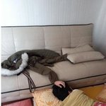 [드루와] 내가 폰을 침대 이불 안에서 하거든?
