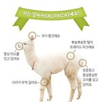 [댓글부탁해] 친구가 나 알파카랑 존똑<b>이랫</b>음 ㅅㅂ