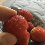 아니 딸기 얼린 거 <b>대존</b>맛