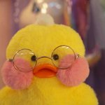 [댓글부탁해] 연예인 <b>pdf</b>따는 조건이 뭐야??