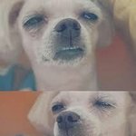 얘들아 고2들어와봐