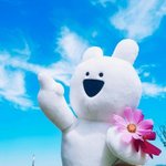 [댓글부탁해] 친구생일선물 니트  추반해주면 복받을거야ㅠㅠ