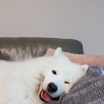 [댓글부탁해] 다들 내가 잘못한건지 봐줘 ㅠㅠ