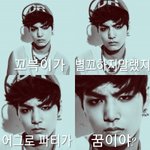 [<b>꼬랑</b>단] 별꼬 노노☹☝️