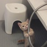 [댓글부탁해] (<b>미방</b>+혐 주의)쌍수 붓기 너무 심한거같아ㅠㅠ