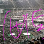 [이삐] 내일 사진 몰래 찍으려는 이삐 들어와봐