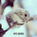 [드루와] 동성애 에이즈 알겠으니 판에 <b>동성</b>애자글 없었으면 올리지마...