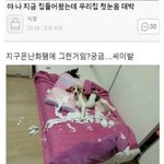 [조언부탁해] 외국애가 고백함 어캄?