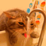 [댓글부탁해] 내가 <b>과민</b>반응하는거야???