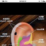 심심하니까 피어싱 <b>궁물</b>