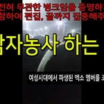 한 팬덤의 <b>언행</b> 수준